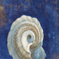 HomeRoots 20" Rustic Deep Blue and Gold Conch Giclee Wrap Canvas Wall Art
