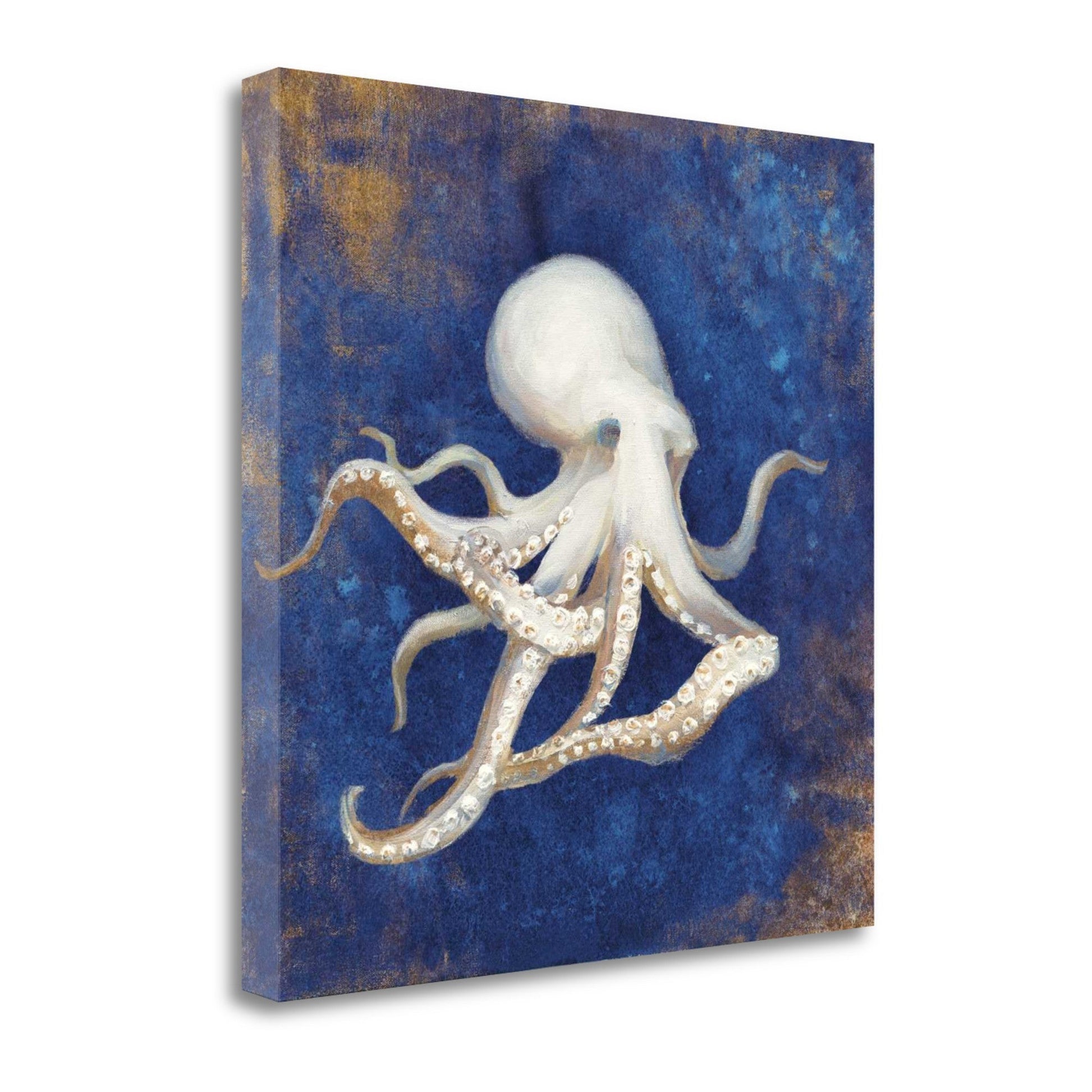 HomeRoots 20" Rustic Deep Blue and Gold Octopus Giclee Wrap Canvas Wall Art