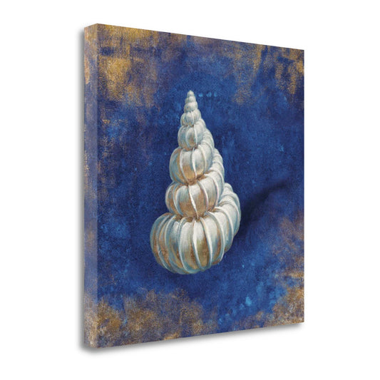 HomeRoots 20" Rustic Deep Blue and Gold Shell Giclee Wrap Canvas Wall Art