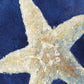 HomeRoots 20" Rustic Deep Blue and Gold Starfish Giclee Wrap Canvas Wall Art