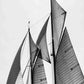 HomeRoots 20" Sailboat in Action Giclee Wrap Canvas Wall Art