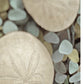 HomeRoots 20" Sand Dollar and Seaglass Giclee Wrap Canvas Wall Art