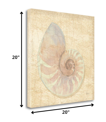 HomeRoots 20" Soft Pastel Seashell Giclee Wrap Canvas Wall Art