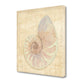 HomeRoots 20" Soft Pastel Seashell Giclee Wrap Canvas Wall Art