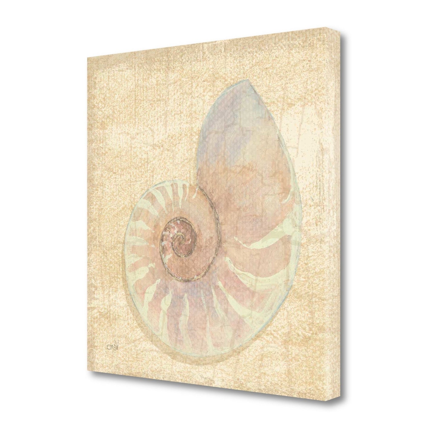 HomeRoots 20" Soft Pastel Seashell Giclee Wrap Canvas Wall Art