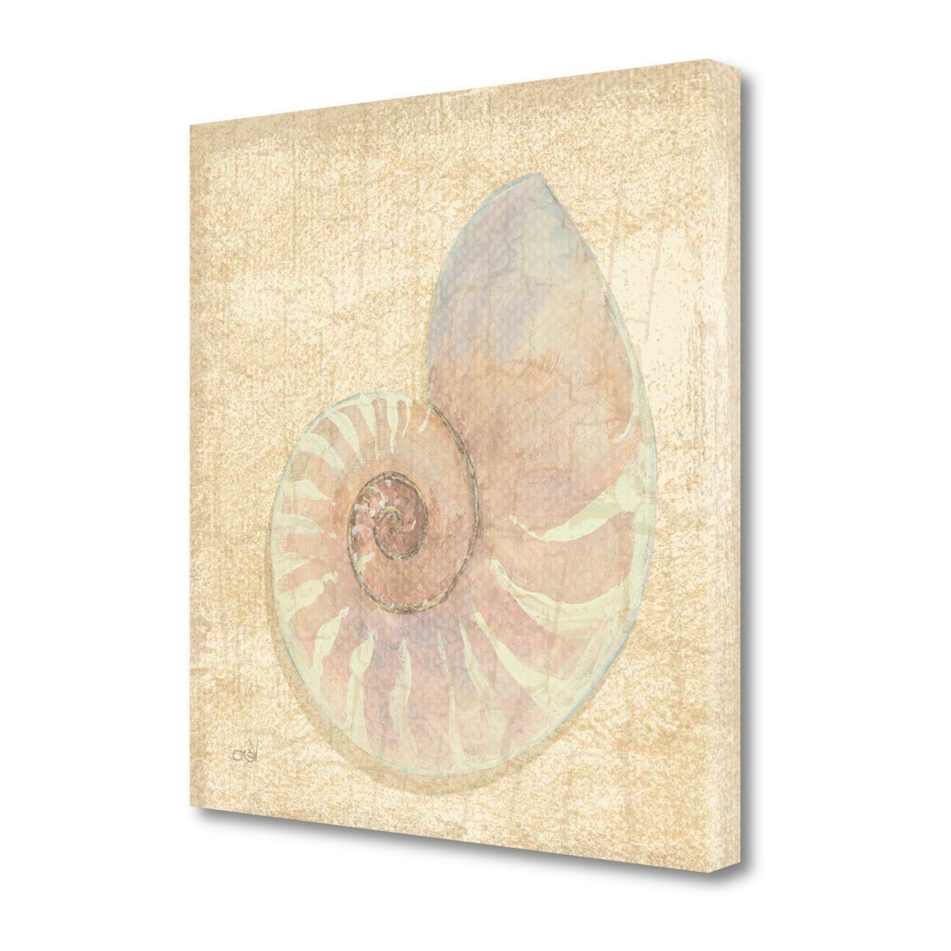 HomeRoots 20" Soft Pastel Seashell Giclee Wrap Canvas Wall Art