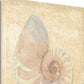 HomeRoots 20" Soft Pastel Seashell Giclee Wrap Canvas Wall Art