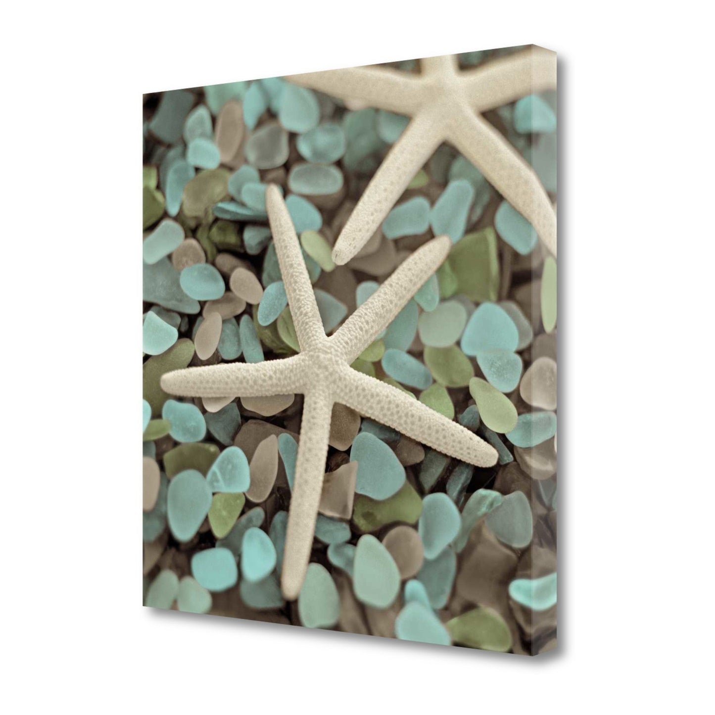 HomeRoots 20" Starfish and Seaglass Giclee Wrap Canvas Wall Art