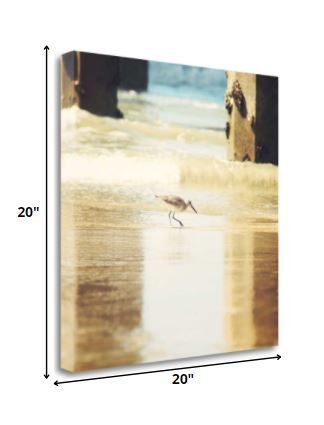 HomeRoots 20" Willet Walking Towards the Beach Giclee Wrap Canvas Wall Art