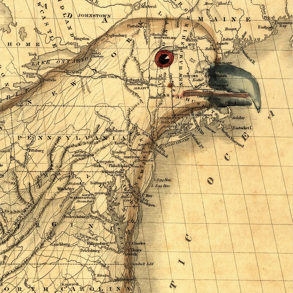HomeRoots 20" x 24" Eagle Map of America c1833 Vintage Poster Wall Art