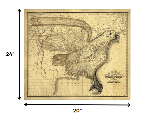 HomeRoots 20" x 24" Eagle Map of America c1833 Vintage Poster Wall Art