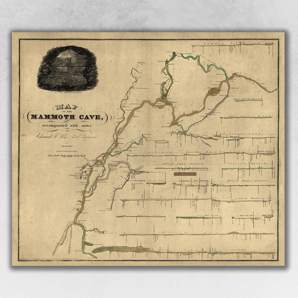 HomeRoots 20" x 24" Map of Kentucky Mammoth Cave Vintage Poster Wall Art
