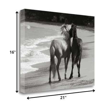 HomeRoots 21" Black and White Two Cuddling Mustangs Giclee Wrap Canvas Wall Art
