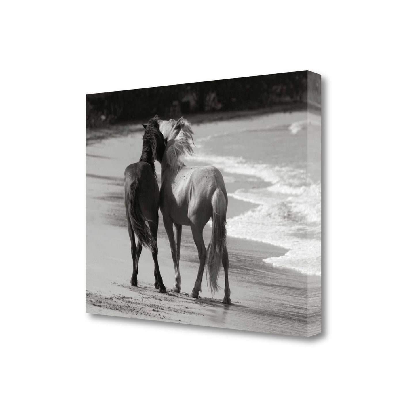 HomeRoots 21" Black and White Two Cuddling Mustangs Giclee Wrap Canvas Wall Art