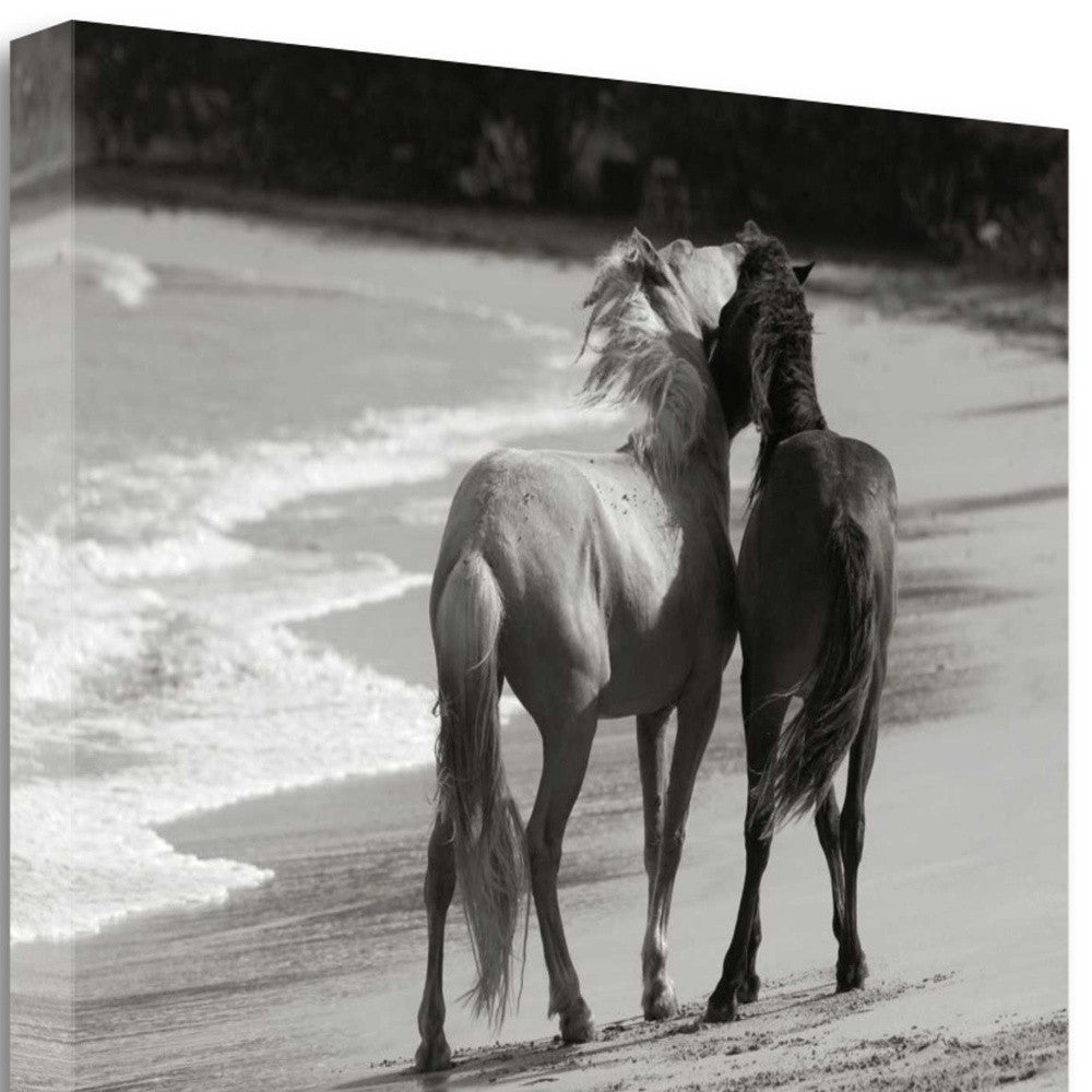 HomeRoots 21" Black and White Two Cuddling Mustangs Giclee Wrap Canvas Wall Art