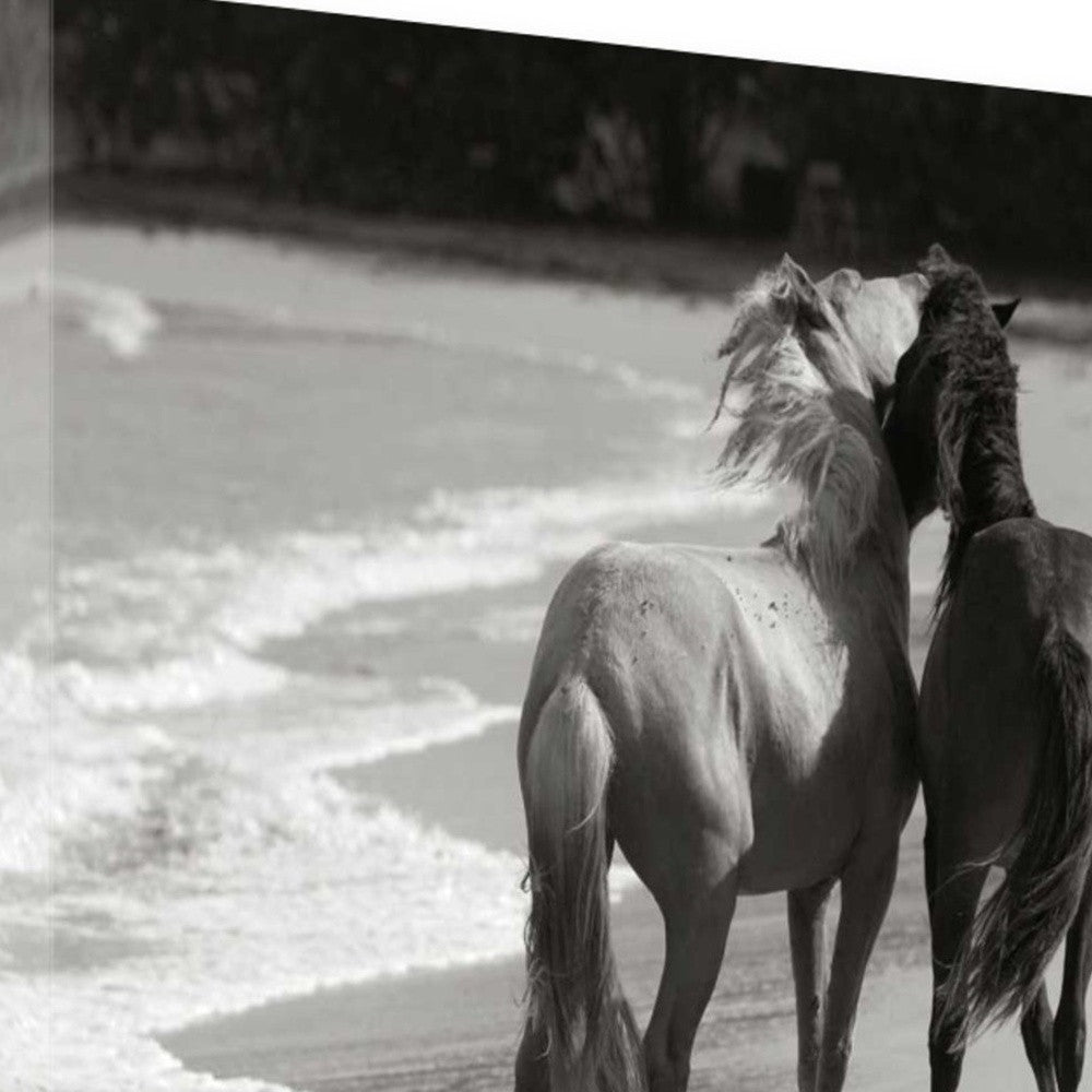 HomeRoots 21" Black and White Two Cuddling Mustangs Giclee Wrap Canvas Wall Art