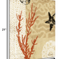 HomeRoots 21" Underwater Coral with Starfish and Sandollar 1 Giclee Wrap Canvas Wall Art