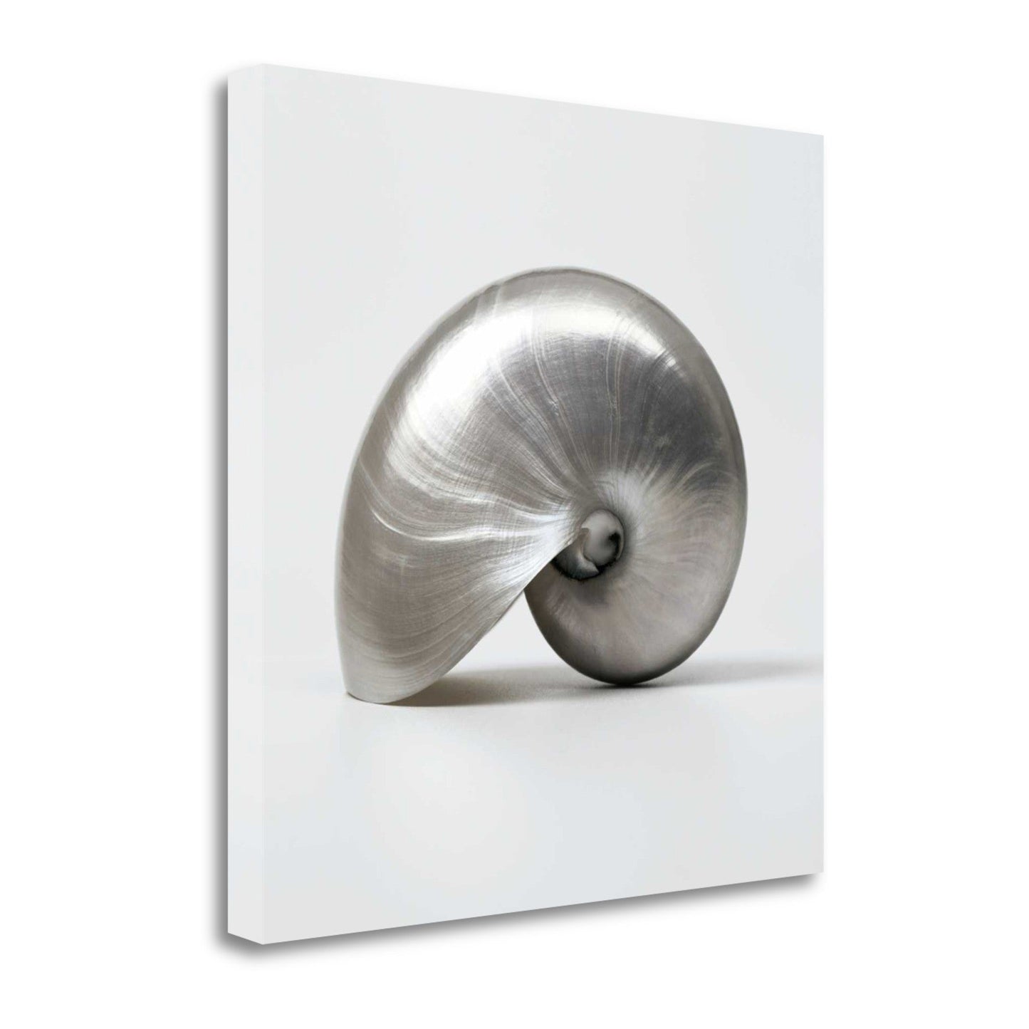 HomeRoots 22" Contemporary Metallic Seashell Print on Gallery Wrap Canvas Wall Art