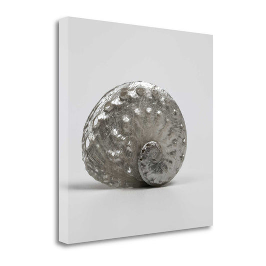 HomeRoots 22" Contemporary Metallic Silver Shell Print on Gallery Wrap Canvas Wall Art