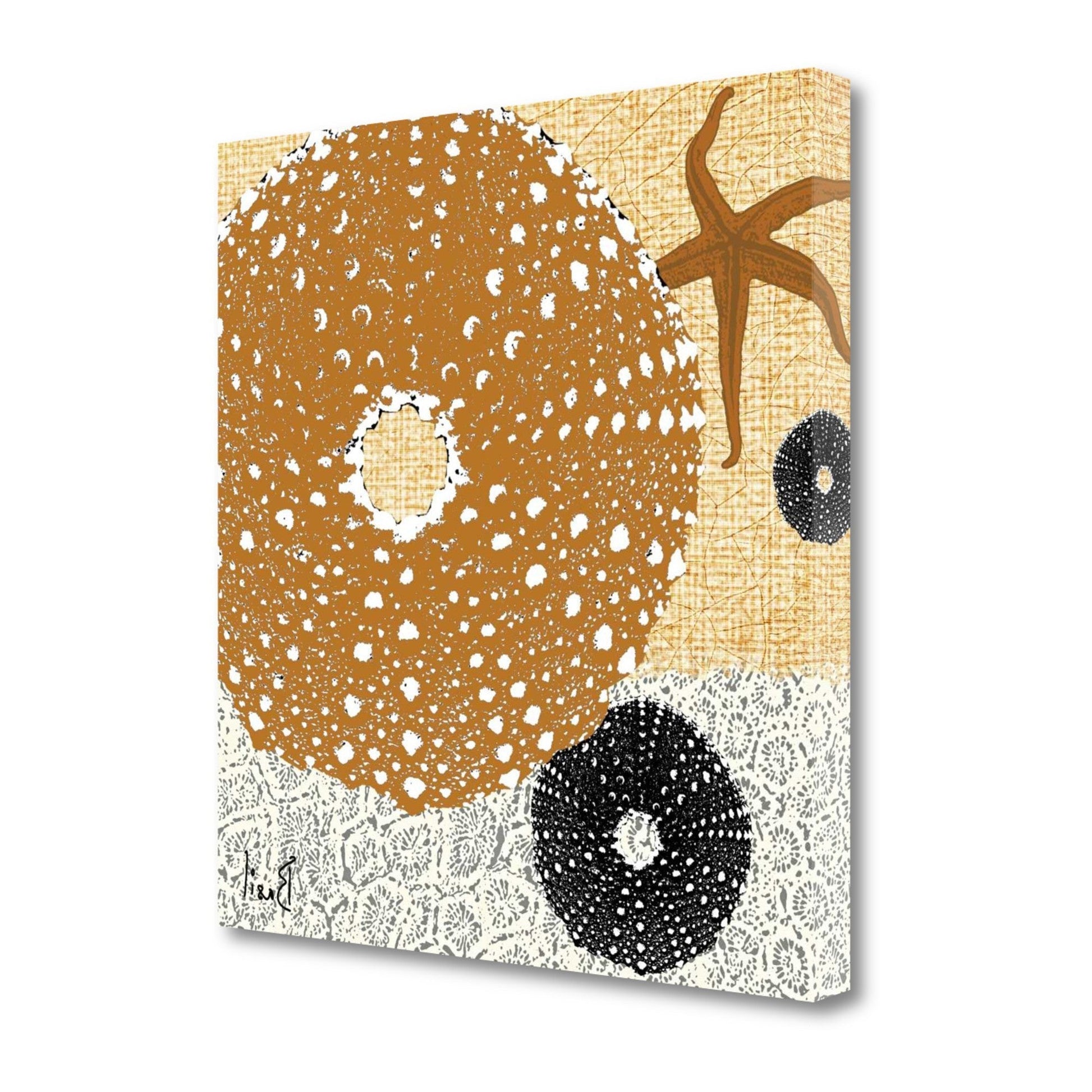 HomeRoots 22" Golden Seashell Treasures Giclee Wrap Canvas Wall Art
