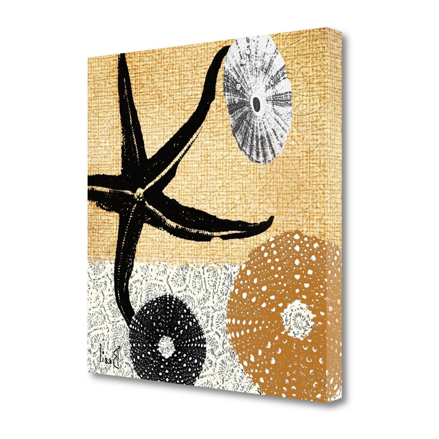 HomeRoots 22" Golden Seashell Treasures Giclee Wrap Canvas Wall Art
