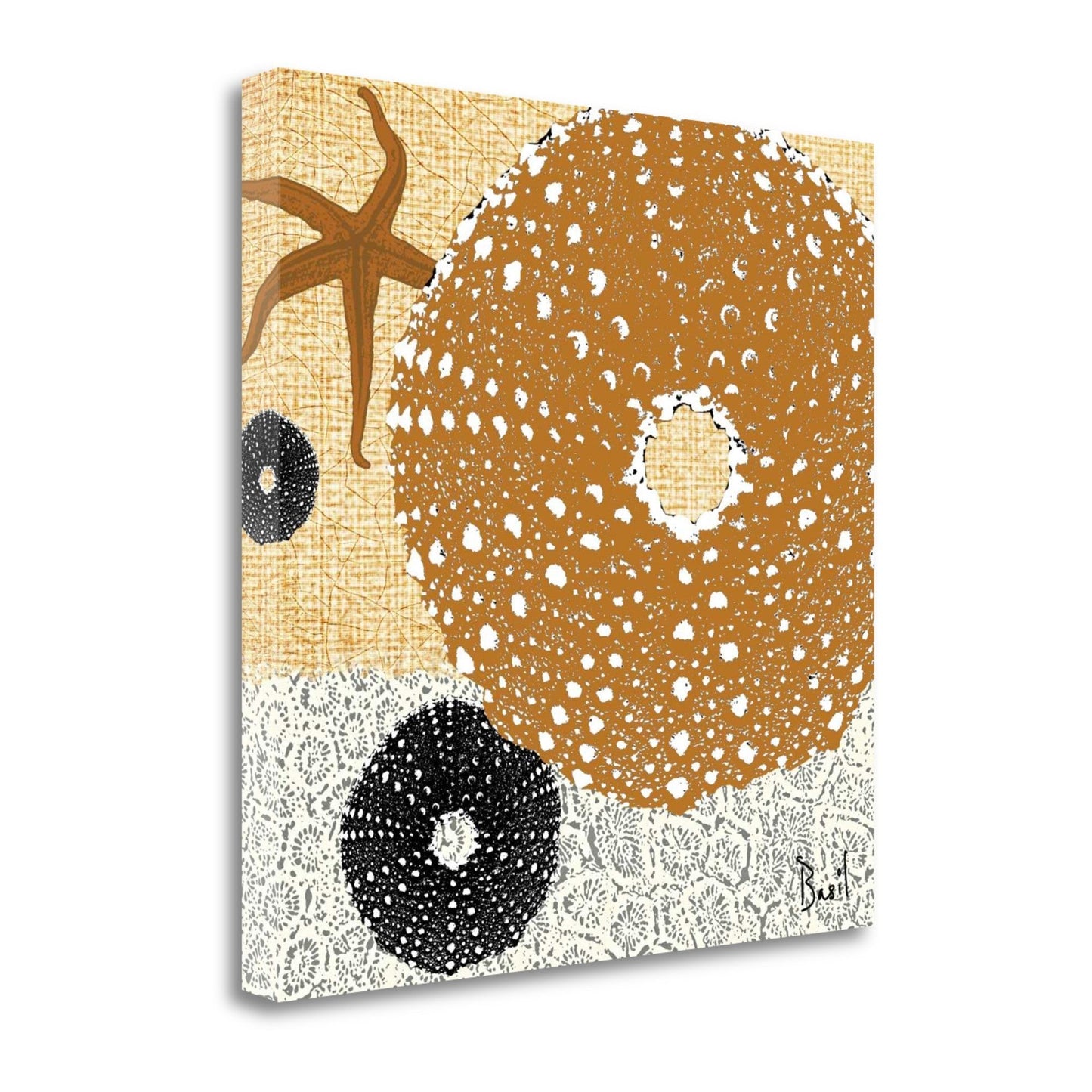 HomeRoots 22" Golden Seashell Treasures Giclee Wrap Canvas Wall Art