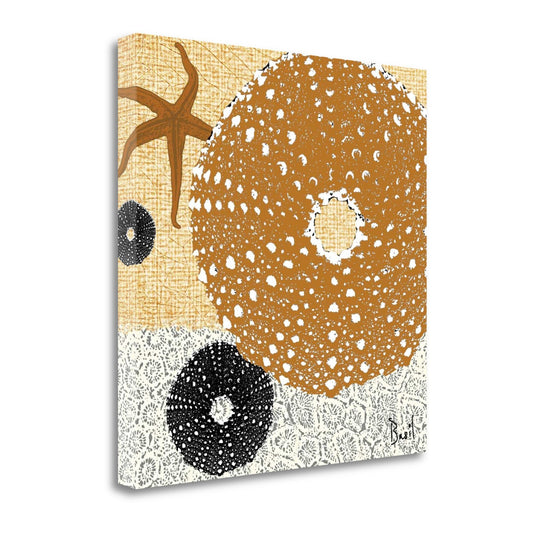 HomeRoots 22" Golden Seashell Treasures Giclee Wrap Canvas Wall Art