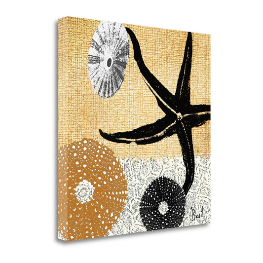 HomeRoots 22" Golden Seashell Treasures Giclee Wrap Canvas Wall Art
