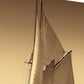 HomeRoots 22" Sailing the Seas Sepia Tone Giclee Wrap Canvas Wall Art