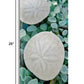 HomeRoots 22" Two Sandollars and Colorful Seaglass Giclee Wrap Canvas Wall Art