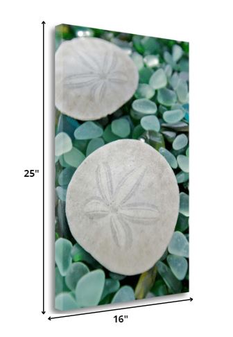 HomeRoots 22" Two Sandollars and Colorful Seaglass Giclee Wrap Canvas Wall Art