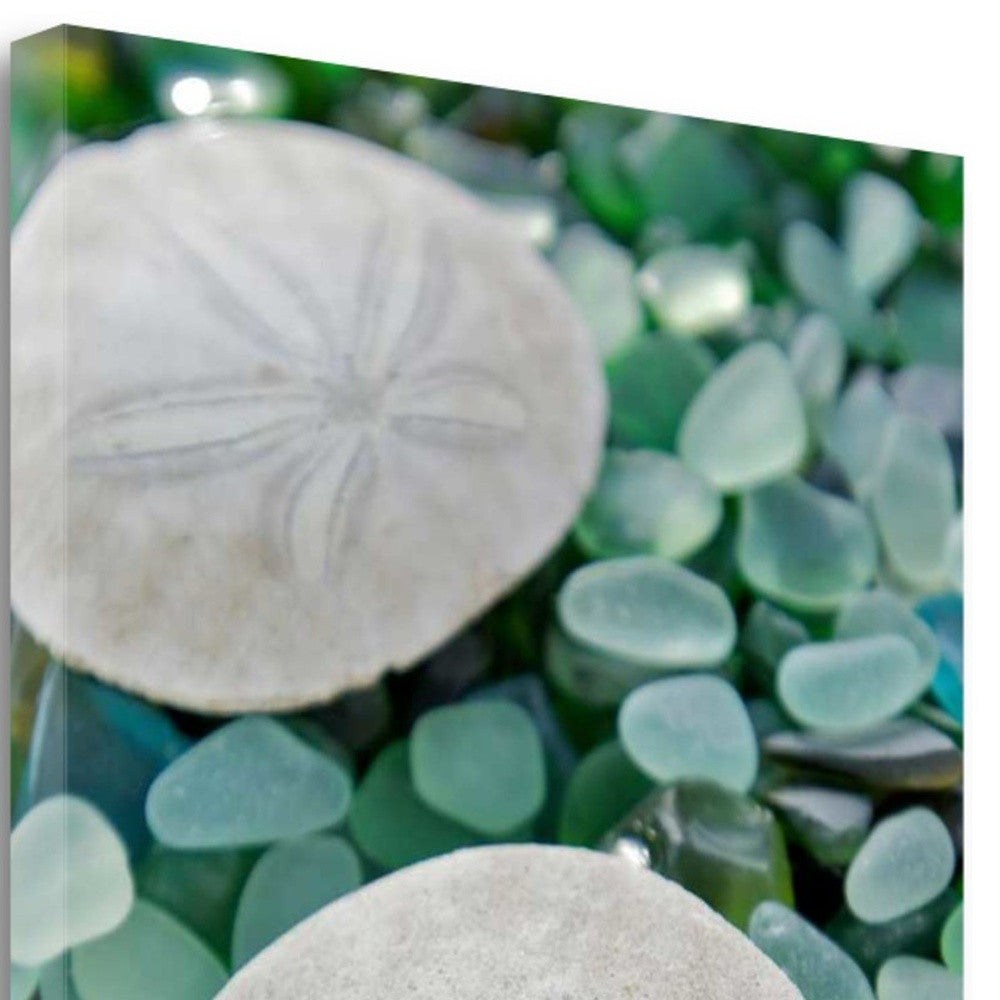 HomeRoots 22" Two Sandollars and Colorful Seaglass Giclee Wrap Canvas Wall Art