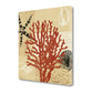 HomeRoots 22" Underwater Coral with Seashells and Starfish Giclee Wrap Canvas Wall Art