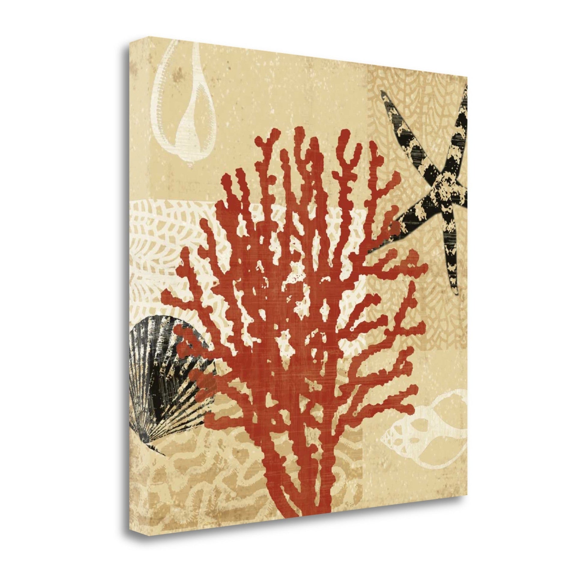 HomeRoots 22" Underwater Coral with Seashells and Starfish Giclee Wrap Canvas Wall Art