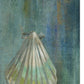 HomeRoots 23" Blue Seashell Giclee Wrap Canvas Wall Art