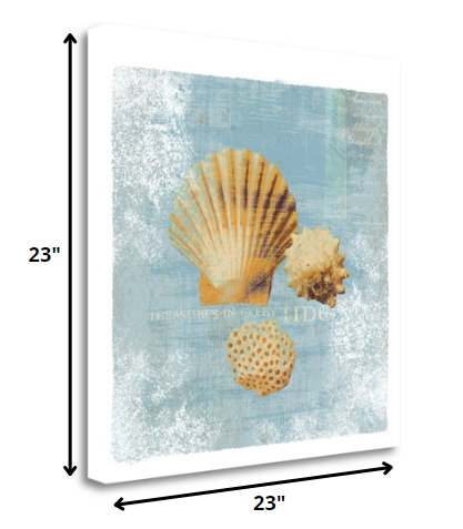 HomeRoots 23" Blue Seashell Treasures Giclee Wrap Canvas Wall Art
