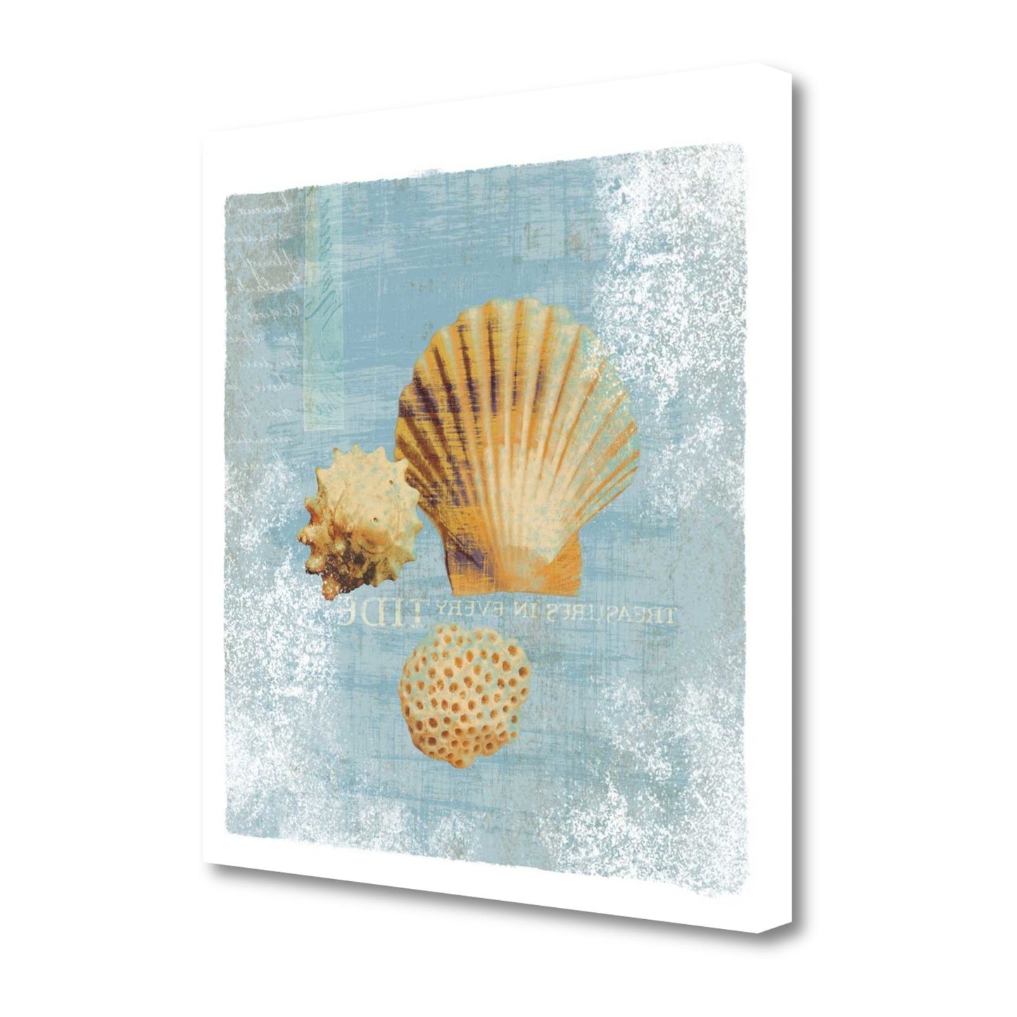 HomeRoots 23" Blue Seashell Treasures Giclee Wrap Canvas Wall Art