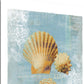 HomeRoots 23" Blue Seashell Treasures Giclee Wrap Canvas Wall Art