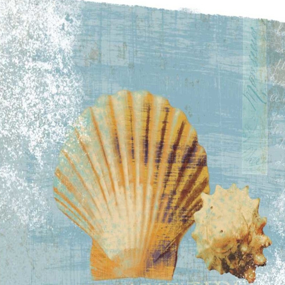 HomeRoots 23" Blue Seashell Treasures Giclee Wrap Canvas Wall Art