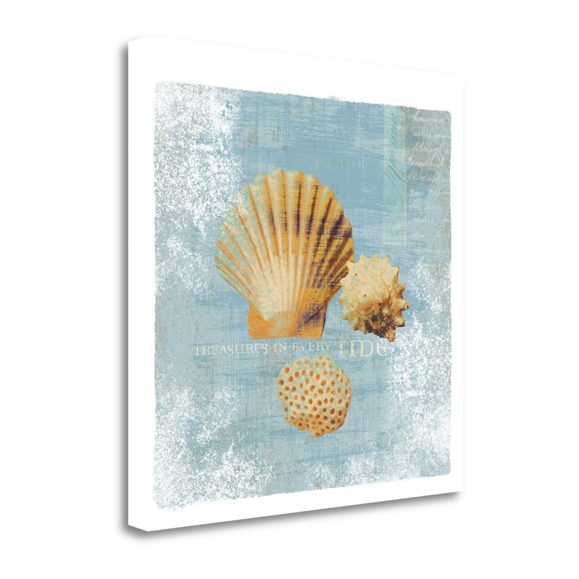 HomeRoots 23" Blue Seashell Treasures Giclee Wrap Canvas Wall Art