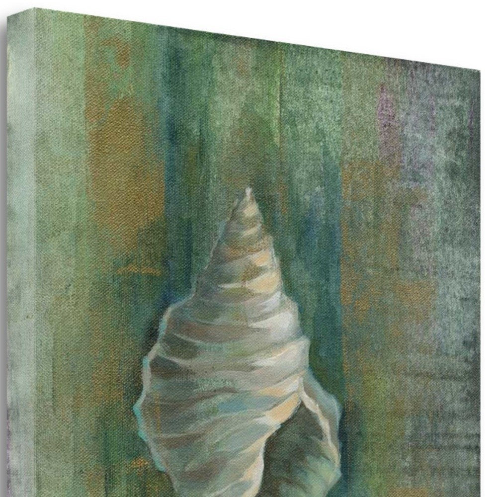 HomeRoots 23" Blue and Green Seashell Giclee Wrap Canvas Wall Art