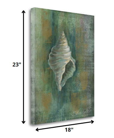 HomeRoots 23" Blue and Green Seashell Giclee Wrap Canvas Wall Art