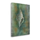 HomeRoots 23" Blue and Green Seashell Giclee Wrap Canvas Wall Art