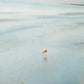 HomeRoots 23" Coastal Two Seagulls on the Beach Giclee Wrap Canvas Wall Art