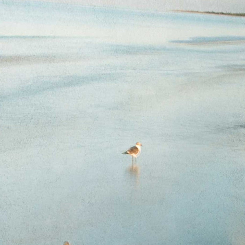 HomeRoots 23" Coastal Two Seagulls on the Beach Giclee Wrap Canvas Wall Art