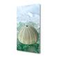 HomeRoots 23" Sea Urchin and Green Seaglass Giclee Wrap Canvas Wall Art
