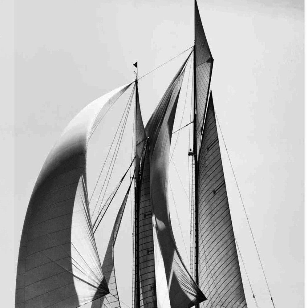 HomeRoots 24" Black and White Sailboat Giclee Wrap Canvas Wall Art