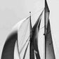 HomeRoots 24" Black and White Sailboat Giclee Wrap Canvas Wall Art