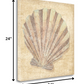 HomeRoots 24" Bohemian Pastel Seashell Giclee Wrap Canvas Wall Art