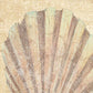HomeRoots 24" Bohemian Pastel Seashell Giclee Wrap Canvas Wall Art